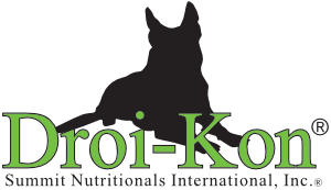 Droi-Kon Logo